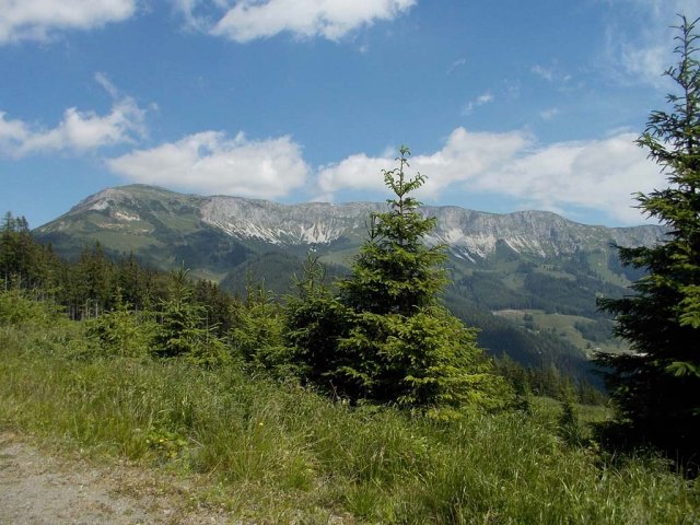 Mariazell 2013 103
